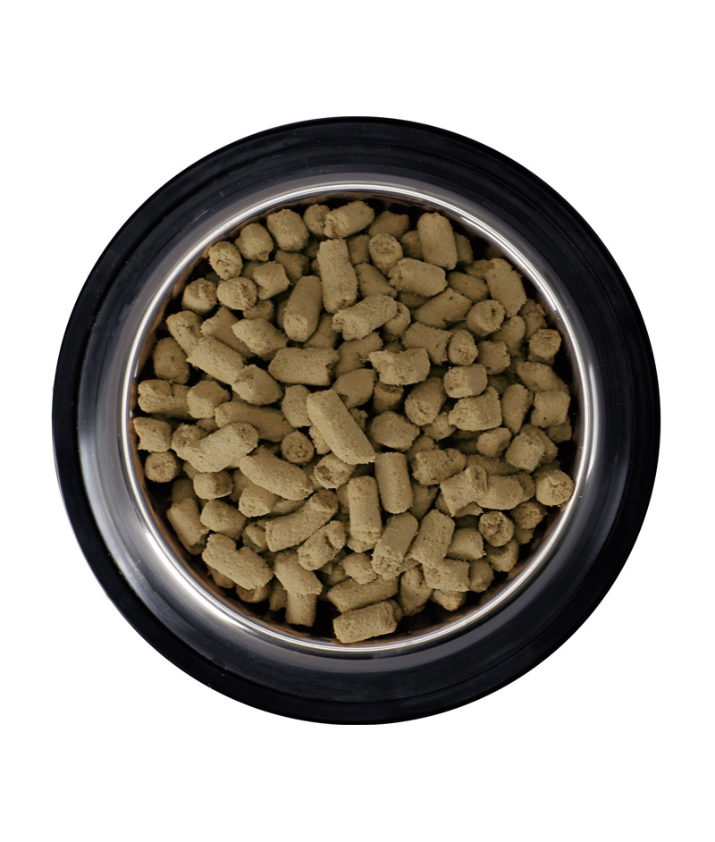 Freeze Dried Cat Food (Chicken Recipe)