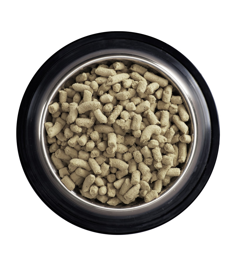 Freeze Dried Kitten Food (Chicken Recipe)
