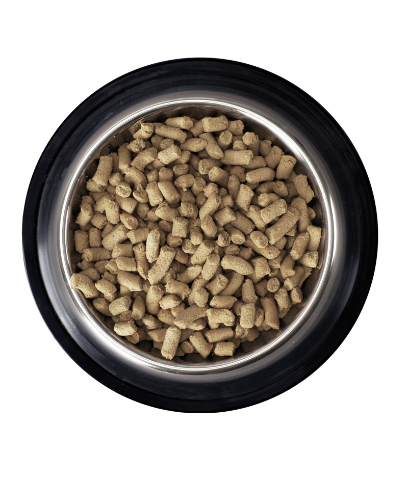 Freeze Dried Kitten Food (Chicken+Salmon Recipe)