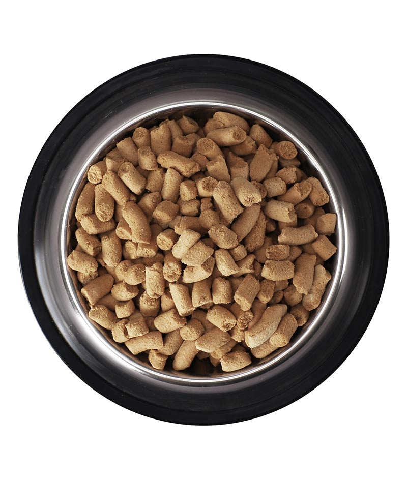 Freeze Dried Cat Food (Chicken+Salmon Recipe)