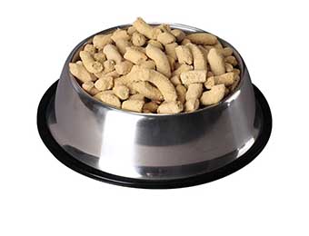 What Are the Benefits of Freeze-dried Cat Snacks